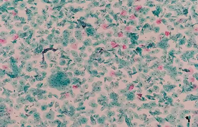 ステンドグラスのフェージングに影響を与える要因