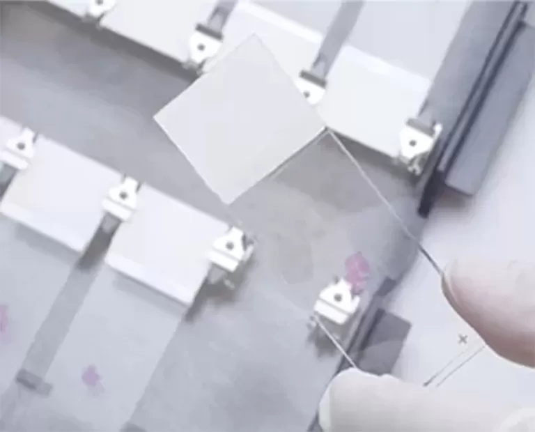 Cervical Liquid Based Cytology